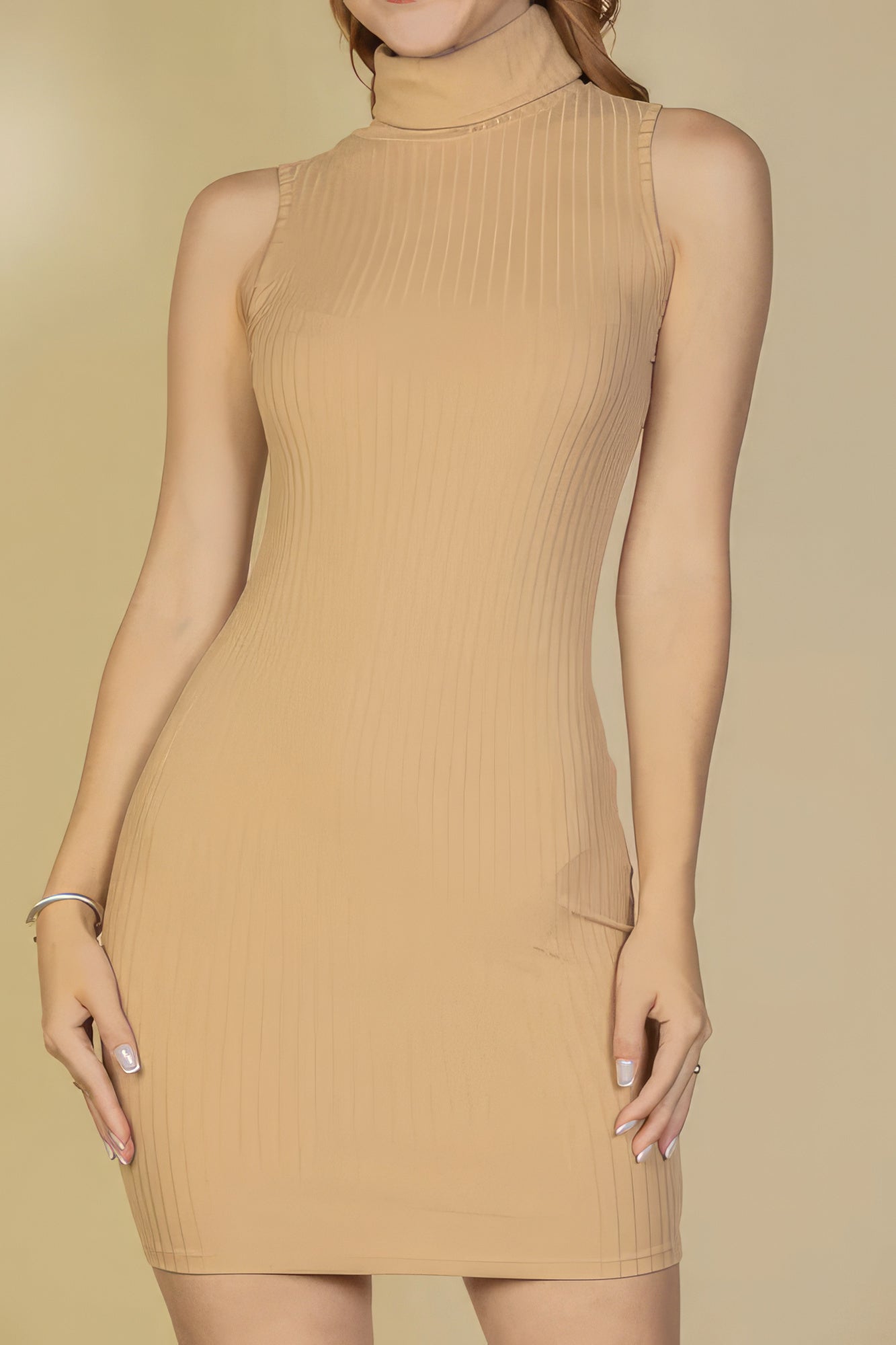 Turtle Neck Sleeveless Mini Dress