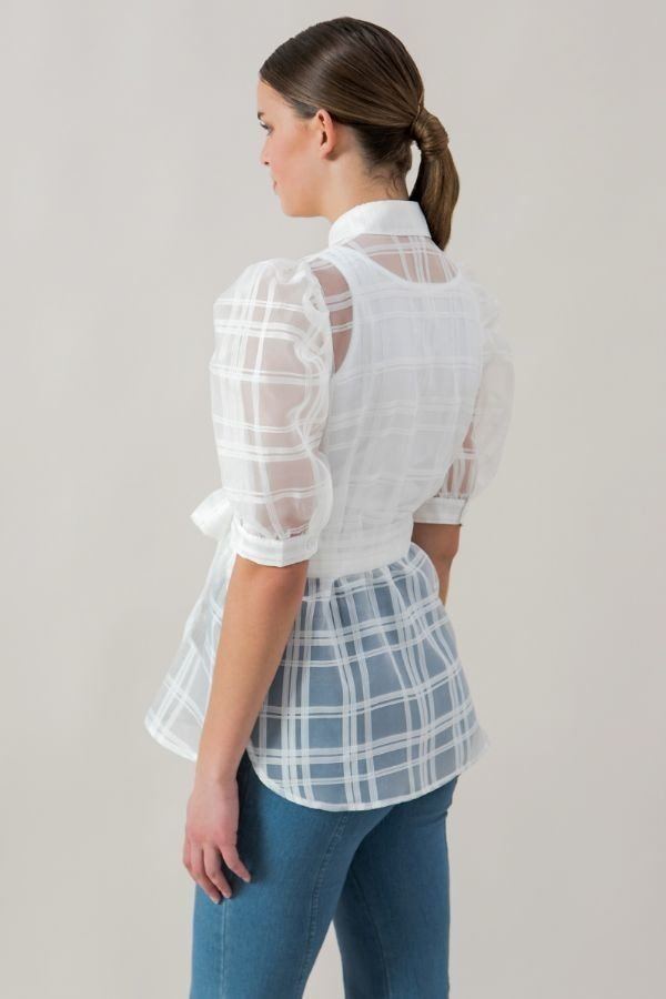 A See-thru Mini Length Organza Top