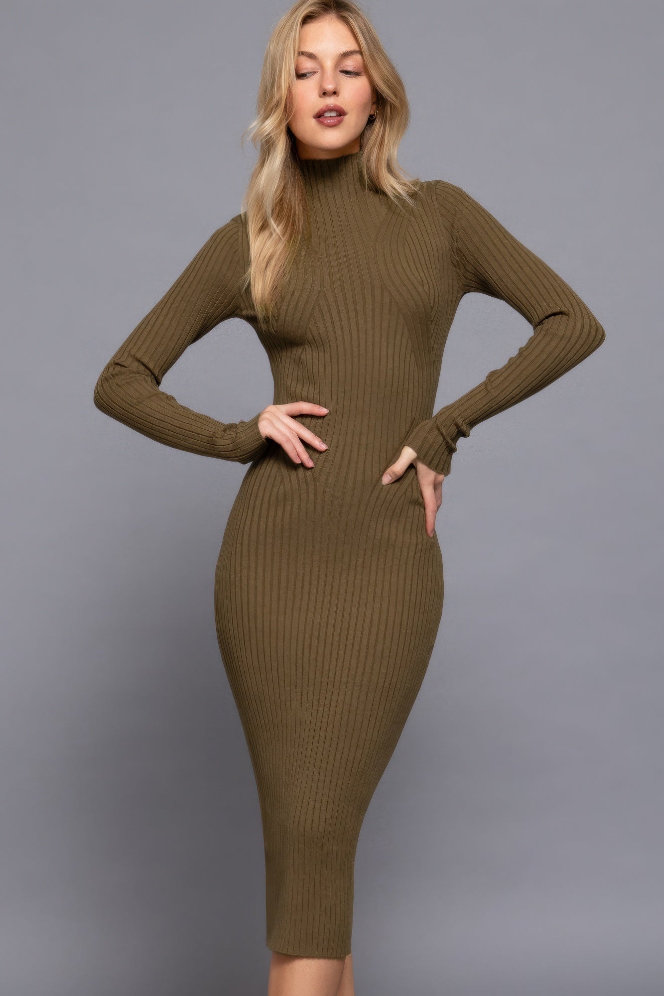 Long Sleeve High Neck Sweater Dress